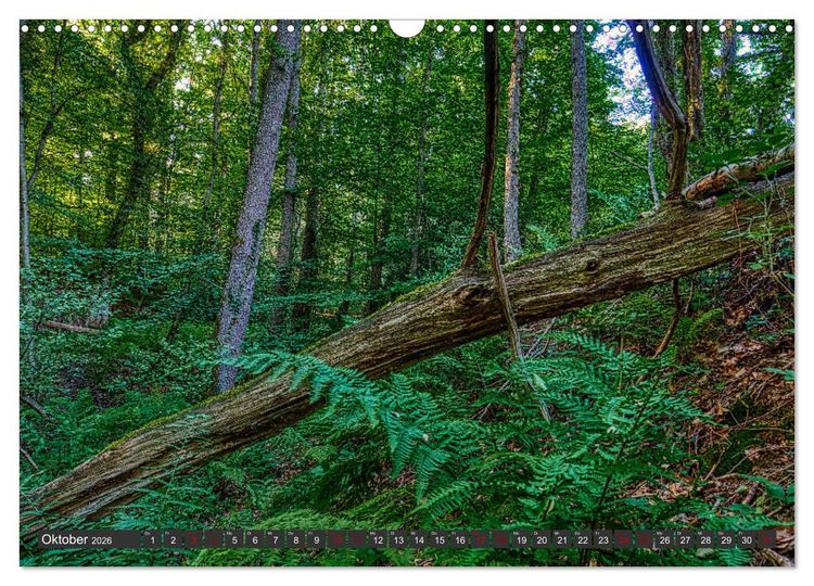 Produktbild: Landschaften unserer Heimat (Wandkalender 2026 DIN A3 quer), CALVENDO Monatskalender