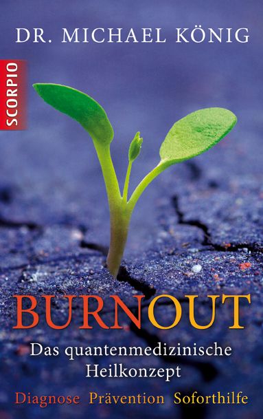 Produktbild: Burnout