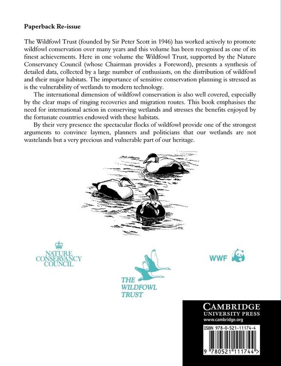 Produktbild: Wildfowl in Great Britain
