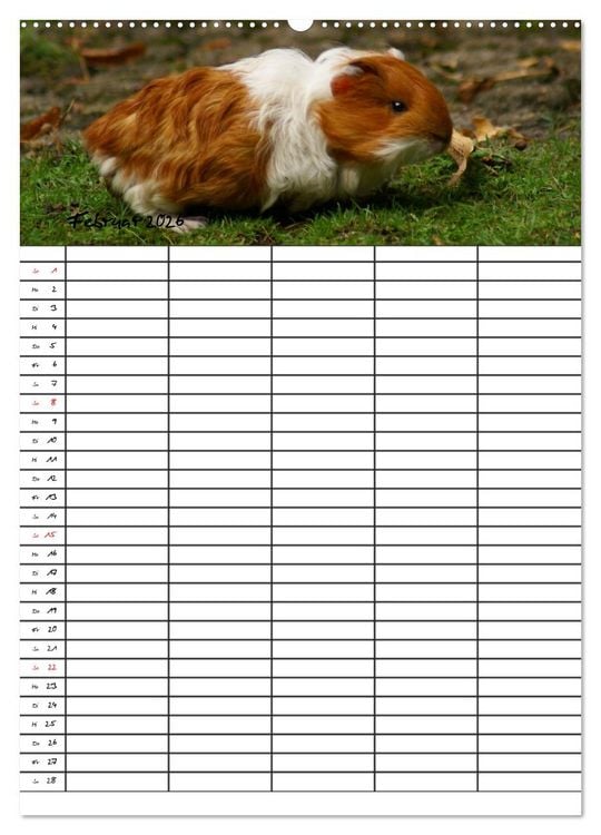 Produktbild: Meerschweinchen und Kaninchen Familienplaner (hochwertiger Premium Wandkalender 2026 DIN A2 hoch), Kunstdruck in Hochglanz
