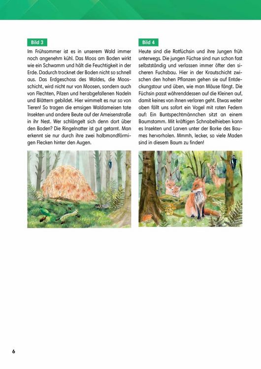 Produktbild: Arbeitsmaterial Grundschule. Sachunterricht. Tiere und Pflanzen im Wald
