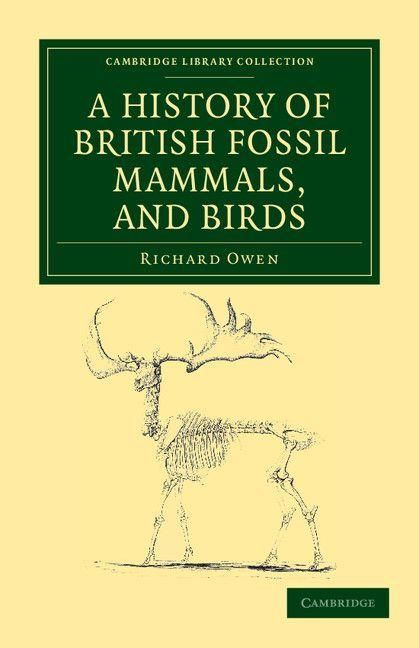 Produktbild: A History of British Fossil Mammals, and Birds