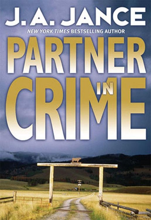 Produktbild: Partner in Crime