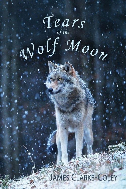 Produktbild: Tears of the Wolf Moon