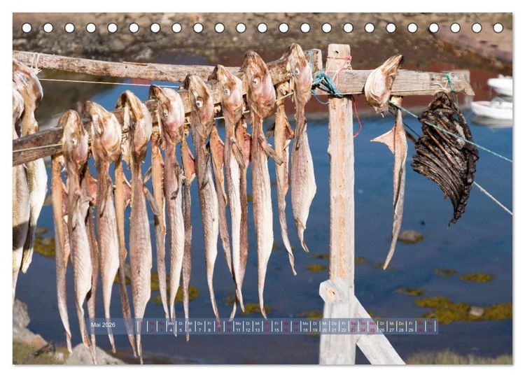 Produktbild: Tasiilaq - Ein kurzer Sommer in Ostgr&ouml;nland (Tischkalender 2026 DIN A5 quer), CALVENDO Monatskalender