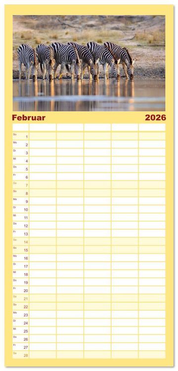 Produktbild: Familienplaner 2026 - Zebras - Die gestreiften Vierbeiner. mit 5 Spalten (Wandkalender, 21 x 45 cm) CALVENDO