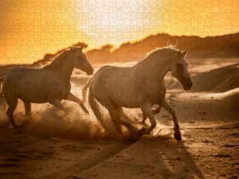 Produktbild: CALVENDO Puzzle Pferdeparadies Camargue Stutenherde in den D&uuml;nen | 1000 Teile Lege-Gr&ouml;&szlig;e 64x48cm Foto-Puzzle f&uuml;r gl&uuml;ckliche Stunden