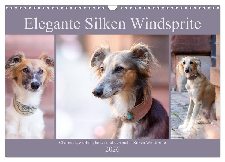 Produktbild: Elegante Silken Windsprite (Wandkalender 2026 DIN A3 quer), CALVENDO Monatskalender