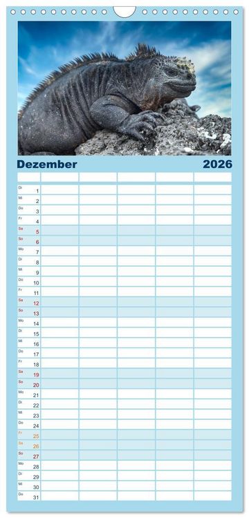 Produktbild: Familienplaner 2026 - Drachen: Geheimnisvolles Tierreich mit 5 Spalten (Wandkalender, 21 x 45 cm) CALVENDO