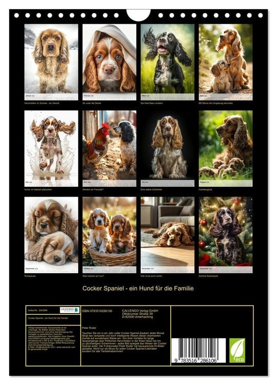 Produktbild: Cocker Spaniel - ein Hund f&uuml;r die Familie (Wandkalender 2026 DIN A4 hoch), CALVENDO Monatskalender