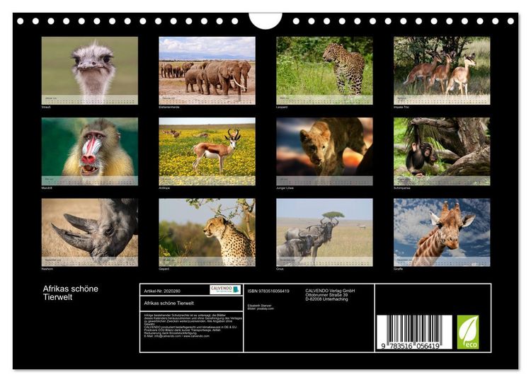 Produktbild: Afrikas sch&ouml;ne Tierwelt (Wandkalender 2026 DIN A4 quer), CALVENDO Monatskalender