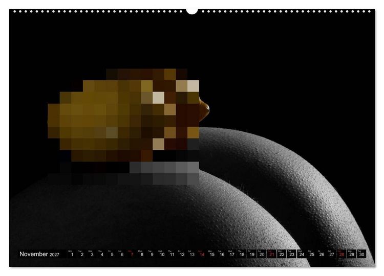 Produktbild: Fruit Nudes (High Quality Premium Wall Calendar 2027 DIN A2 landscape),CALVENDO 12 Month Wall Calendar