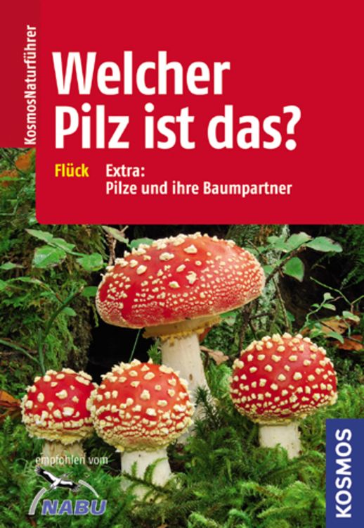 Produktbild: Welcher Pilz ist das?