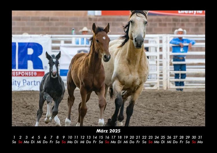 Produktbild: Die Welt der Pferde 2025 Fotokalender DIN A3