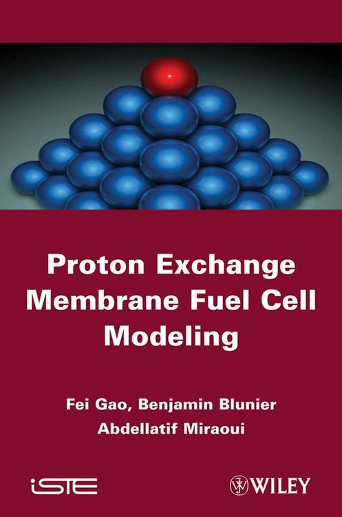 Produktbild: Proton Exchange Membrane Fuel Cells Modeling