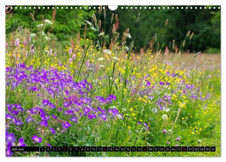 Produktbild: Der Harz - Sagenumwoben und Wildromantisch (Wandkalender 2026 DIN A3 quer), CALVENDO Monatskalender