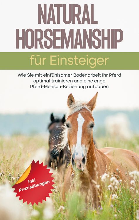Produktbild: Natural Horsemanship f&uuml;r Einsteiger