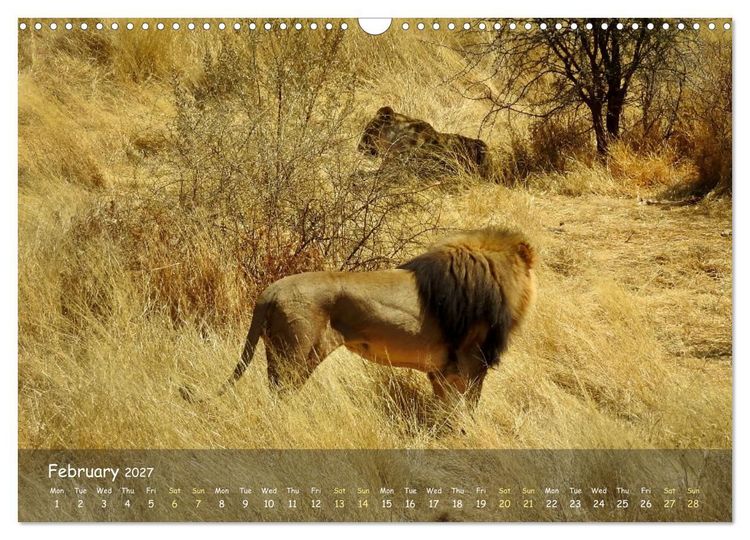 Produktbild: Namibia - African Beauty (Wall Calendar 2027 DIN A3 landscape), CALVENDO 12 Month Wall Calendar