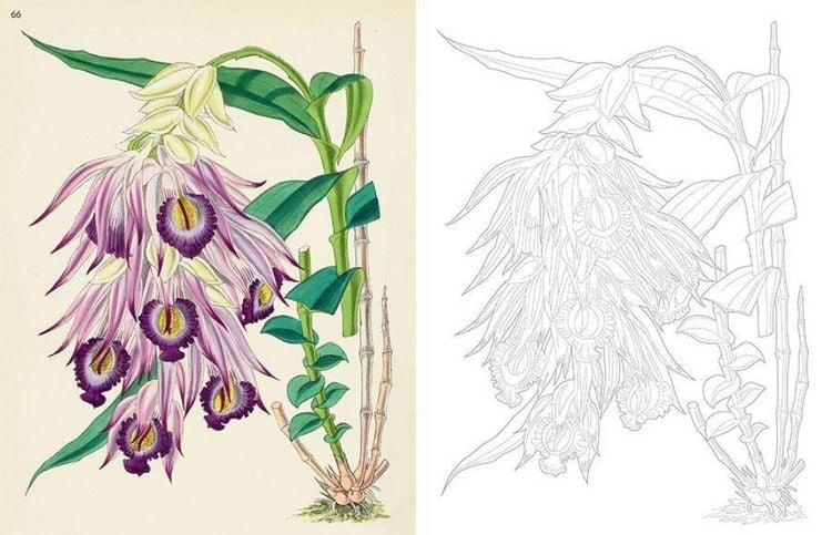 Produktbild: Kew Gardens - Florale Ausmaltr&auml;ume
