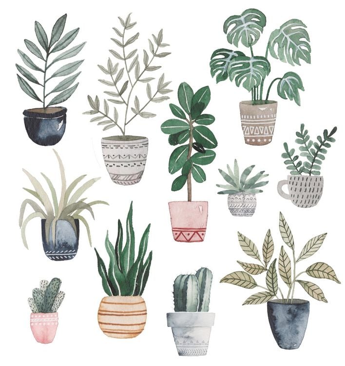 Produktbild: Die gro&szlig;e Watercolor Bibliothek