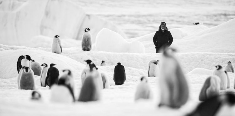 Produktbild: R&uuml;ckkehr zum Land der Pinguine