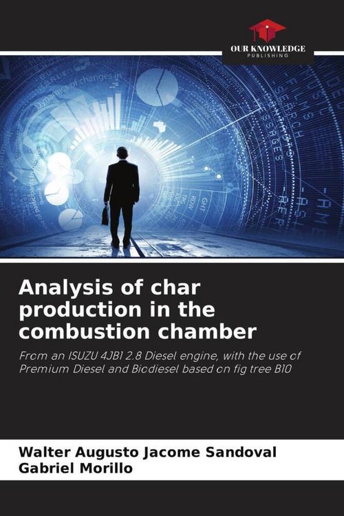 Produktbild: Analysis of char production in the combustion chamber
