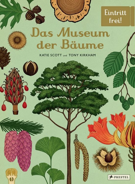 Produktbild: Das Museum der Bäume