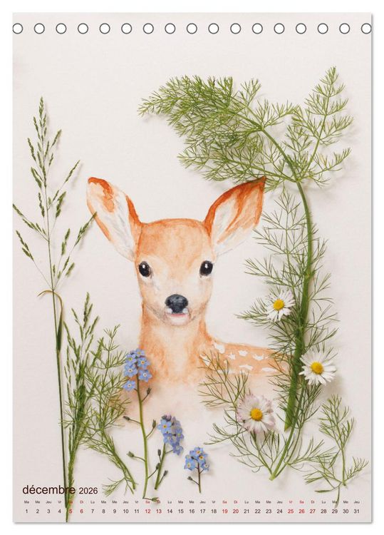 Produktbild: Animaux &agrave; l'aquarelle et v&eacute;g&eacute;taux (Calendrier de bureau 2026 DIN A5 horizontal), CALVENDO calendrier mensuel