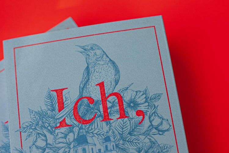 Produktbild: Ich, Ellyn