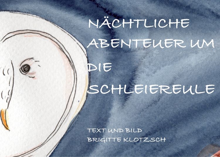 Produktbild: N&auml;chtliche Abenteuer um die Schleiereule