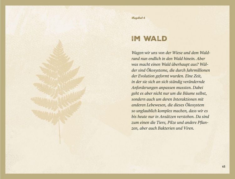Waldgeheimnisse