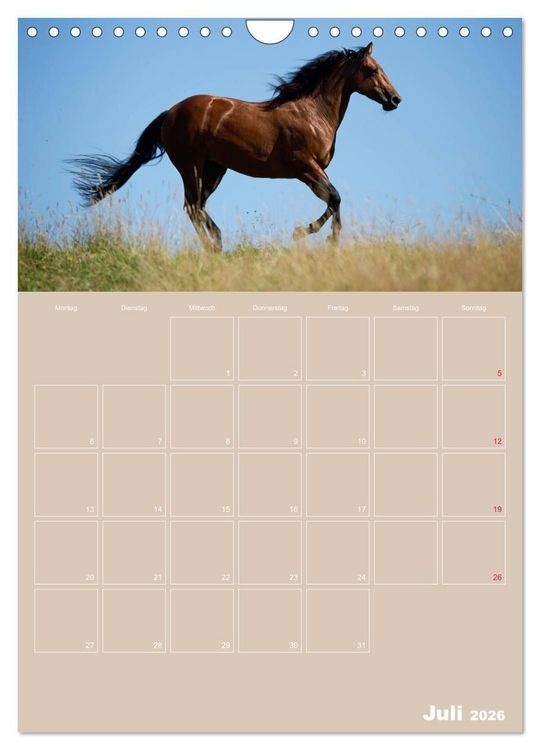 Produktbild: Pferde / Planer (Wandkalender 2026 DIN A4 hoch), CALVENDO Monatskalender