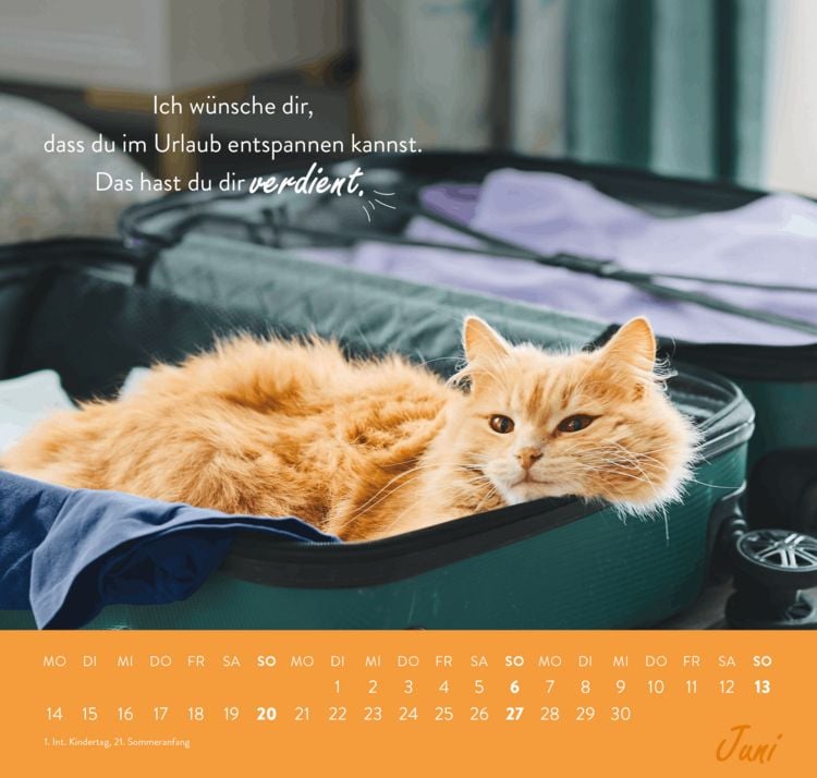 Produktbild: Wandkalender 2027: Einfach mal abh&auml;ngen
