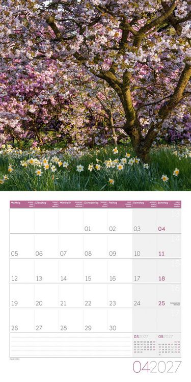 Produktbild: In meinem Garten Kalender 2027 - 30x30 - Art12