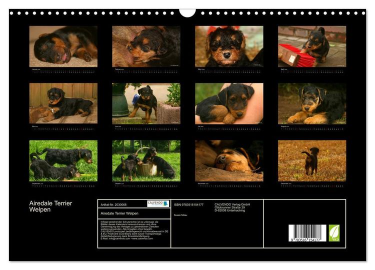 Produktbild: Airedale Terrier Welpen (Wandkalender 2026 DIN A3 quer), CALVENDO Monatskalender