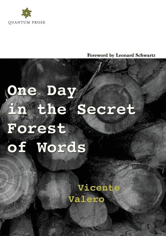 Produktbild: One Day in the Secret Forest of Words