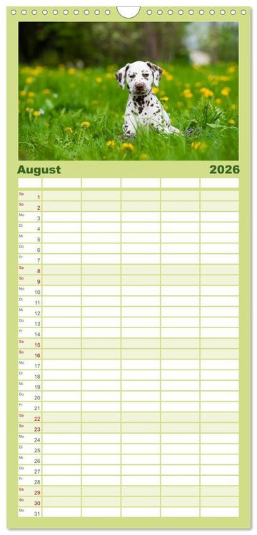 Produktbild: Familienplaner 2026 - Dalmatiner mit 5 Spalten (Wandkalender, 21 x 45 cm) CALVENDO