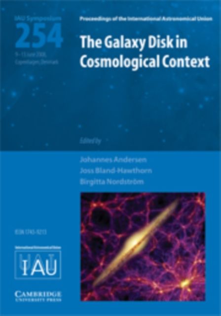 Produktbild: Galaxy Disk in Cosmological Co