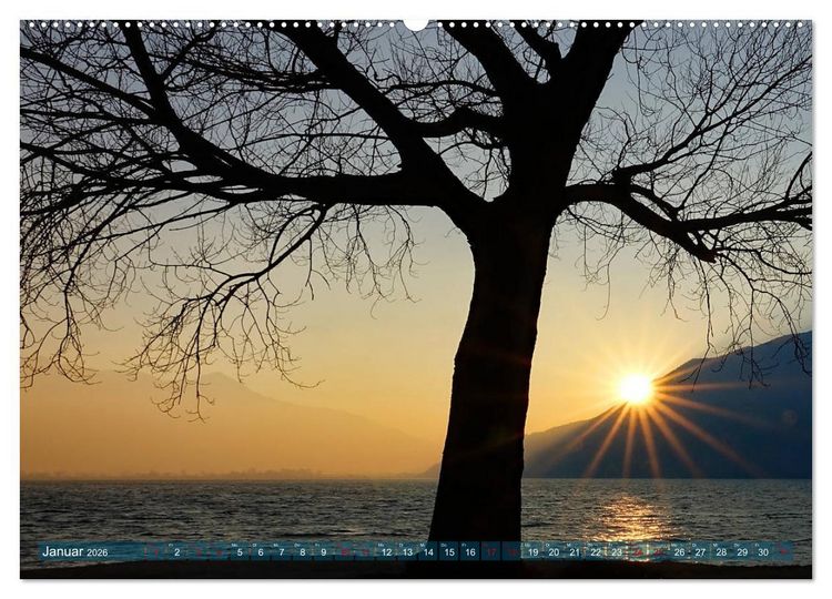 Produktbild: Mit B&auml;umen durchs Jahr (hochwertiger Premium Wandkalender 2026 DIN A2 quer), Kunstdruck in Hochglanz