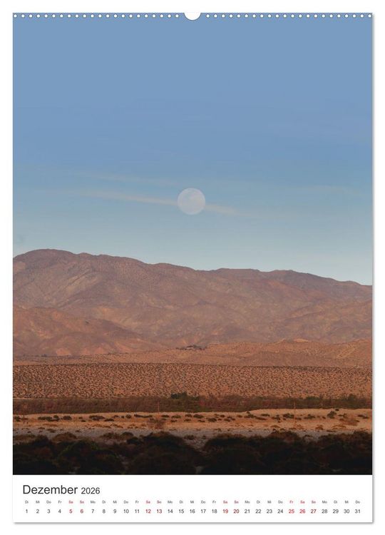 Produktbild: Palm Springs - Immer der Sonne nach. (Wandkalender 2026 DIN A2 hoch), CALVENDO Monatskalender