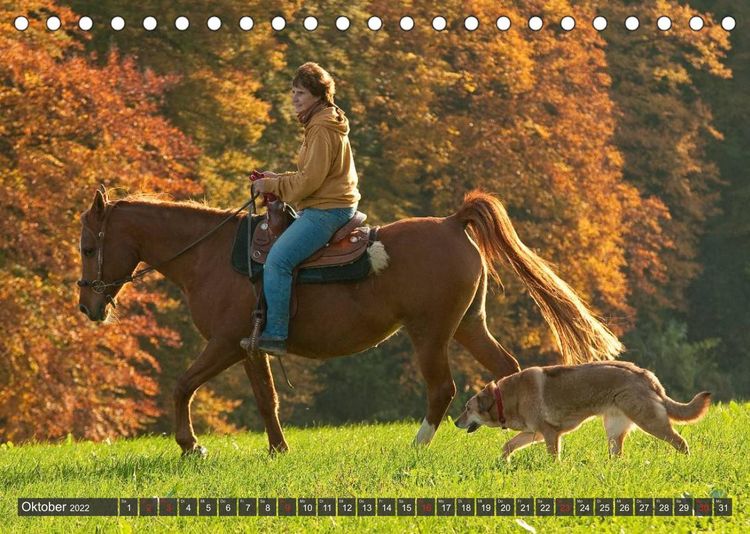Produktbild: Pferd und Mensch in Harmonie (Tischkalender 2022 DIN A5 quer)