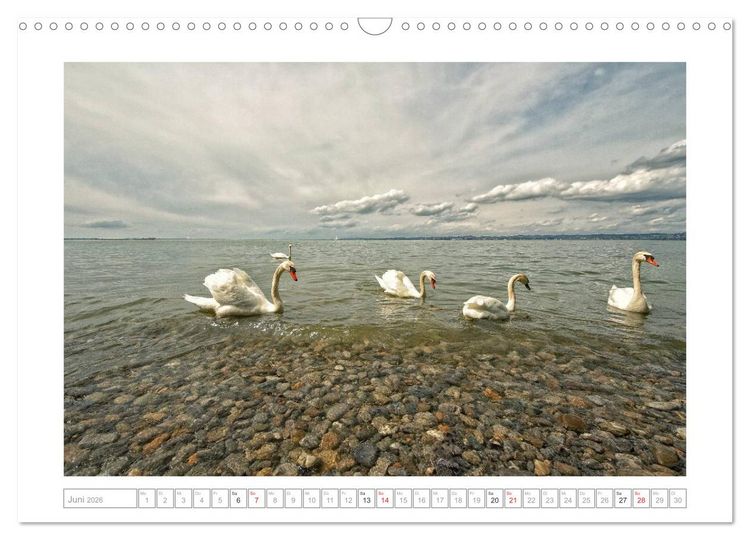 Produktbild: Melancholie-Bodensee 2026 (Wandkalender 2026 DIN A3 quer), CALVENDO Monatskalender