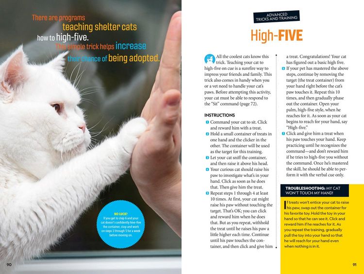 Produktbild: Pounce! a How to Speak Cat Training Guide