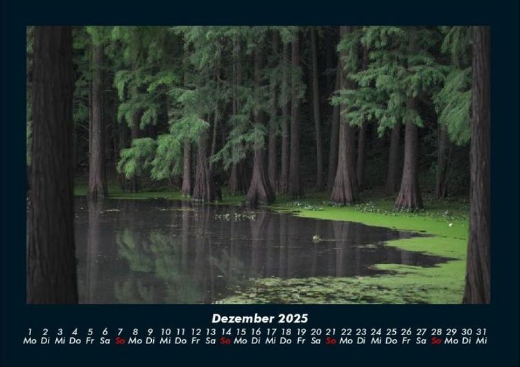 Produktbild: Die Seen der Erde 2025 Fotokalender DIN A4