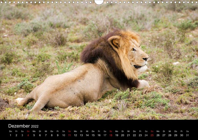 Produktbild: Faszinierendes S&uuml;dafrika / CH-Version (Wandkalender 2022 DIN A3 quer)