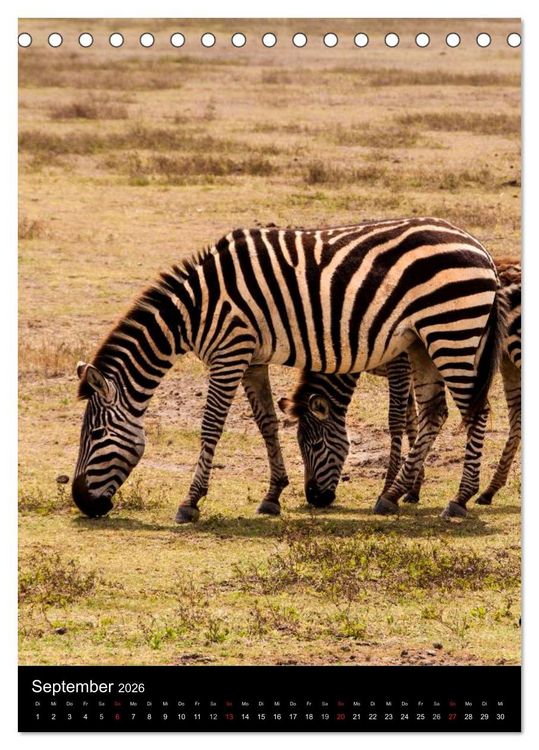 Produktbild: Wildes Afrika (Tischkalender 2026 DIN A5 hoch), CALVENDO Monatskalender