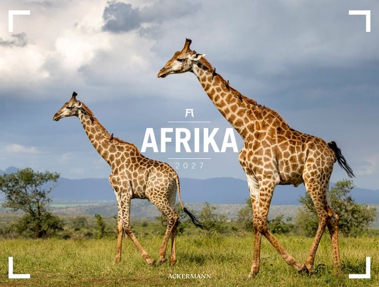 Produktbild: Afrika Gallery Kalender 2027