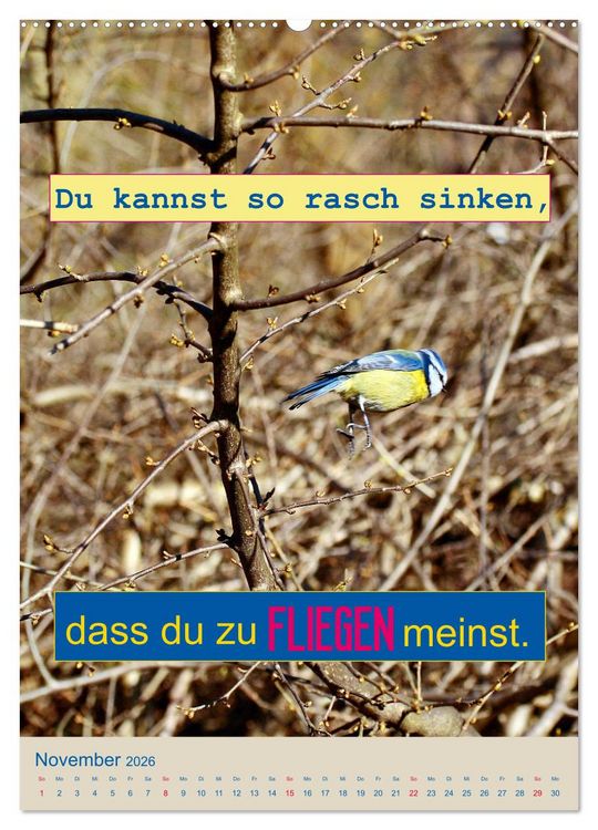 Produktbild: Nimm das Leben leicht, auch wenn's manchmal schwerf&auml;llt (hochwertiger Premium Wandkalender 2026 DIN A2 hoch), Kunstdruck in Hochglanz