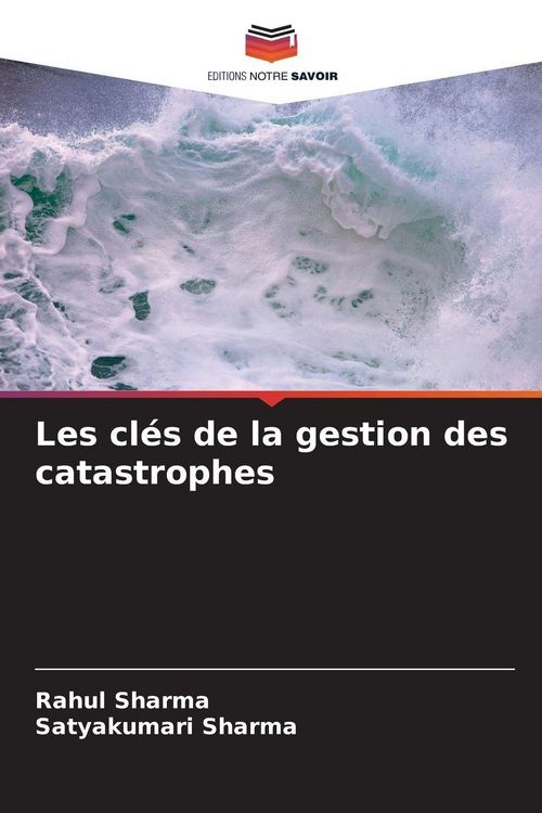 Produktbild: Les cl&eacute;s de la gestion des catastrophes