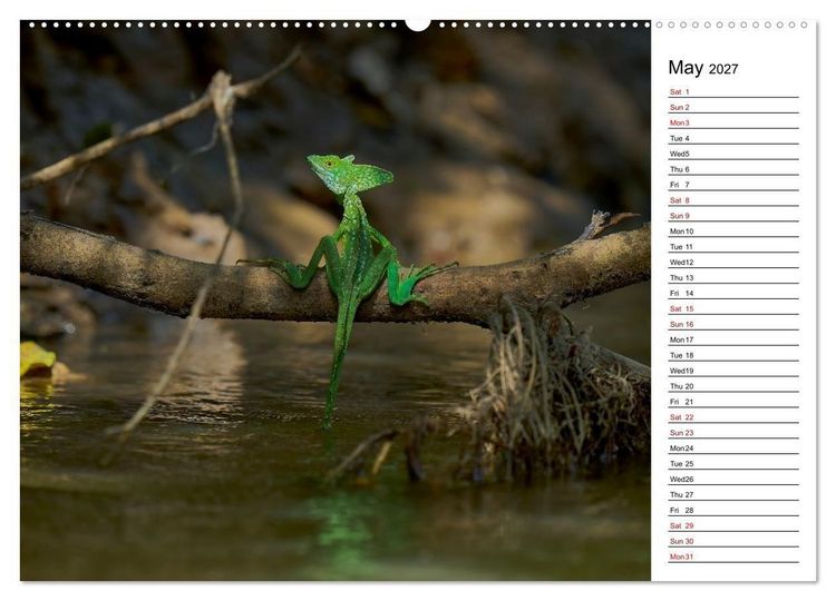Produktbild: Feel the Wild &ndash; Costa Rica (High Quality Premium Wall Calendar 2027 DIN A2 landscape),CALVENDO 12 Month Wall Calendar